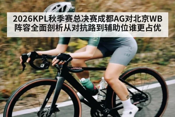 2026KPL秋季赛总决赛成都AG对北京WB阵容全面剖析从对抗路到辅助位谁更占优