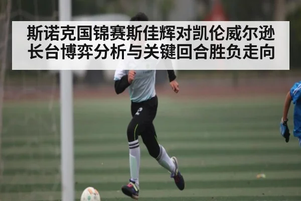 斯诺克国锦赛斯佳辉对凯伦威尔逊长台博弈分析与关键回合胜负走向